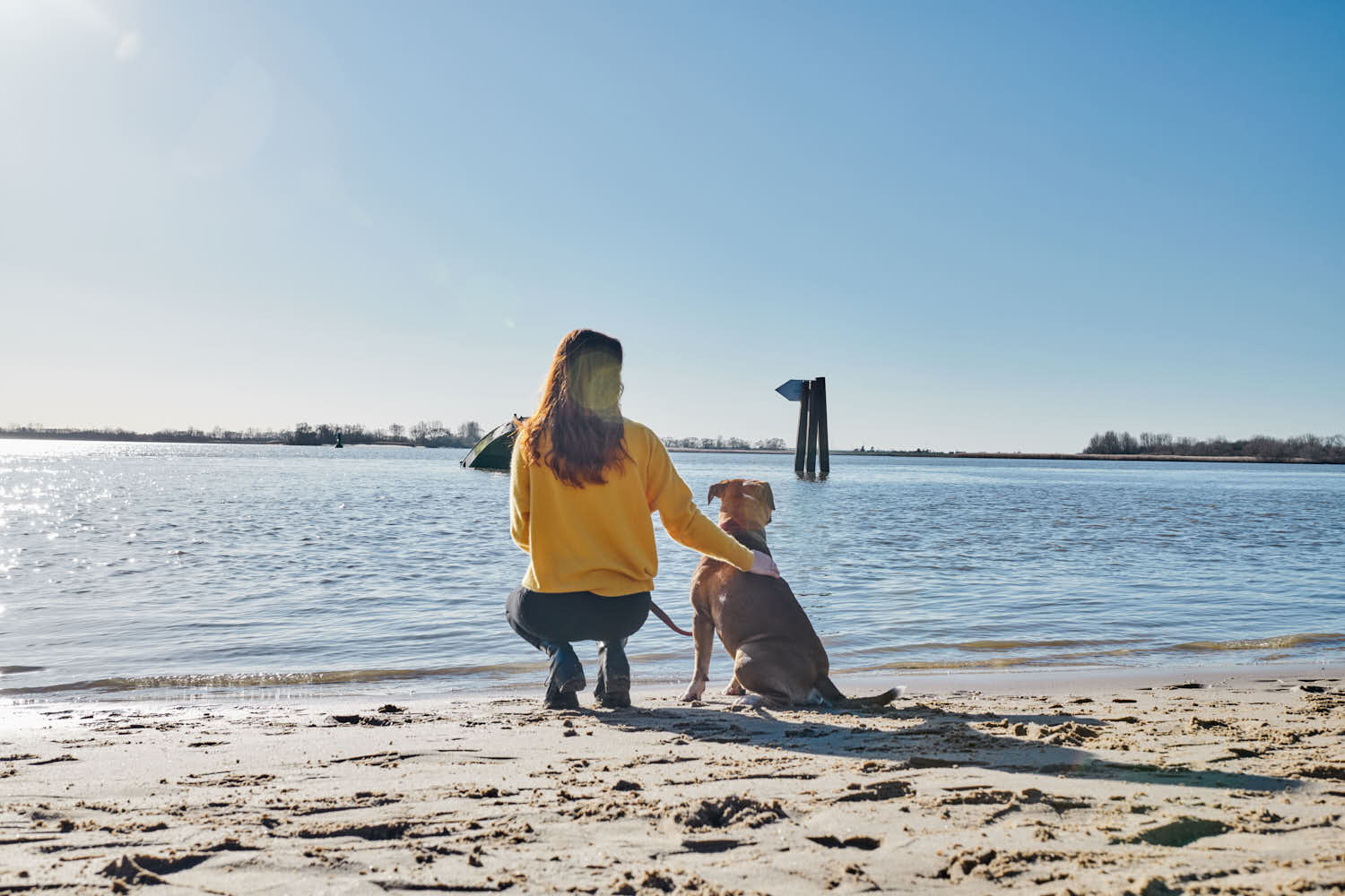 Hundeshooting am Hundestrand