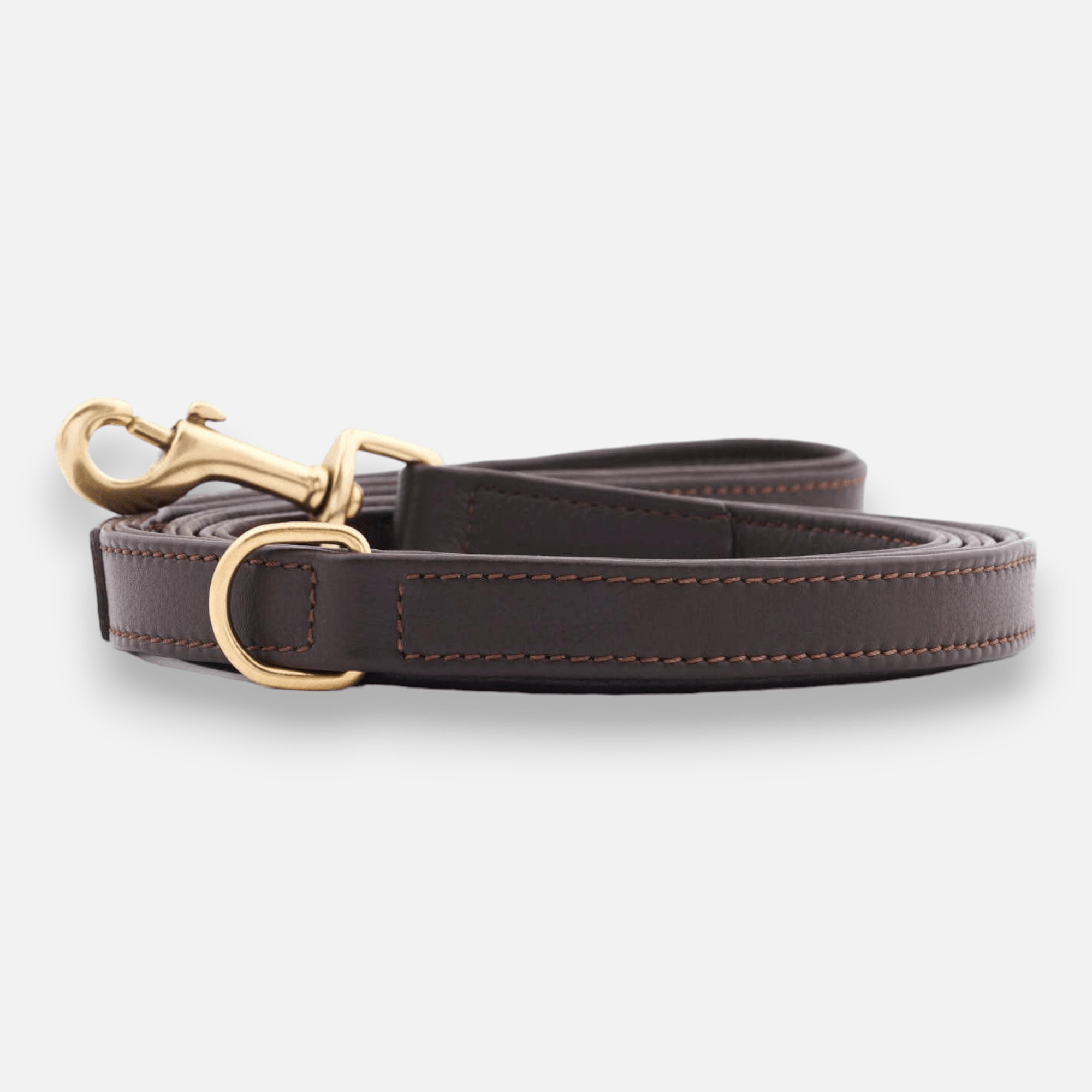 William Walker Hochwertige Leder Hundeleine Earth (Braun) 3-fach verstellbar (Länge 2m) / Standardgröße (Breite 2cm | Große Karabiner | Halsband S-XL)